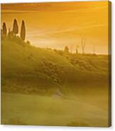 Tuscany In Gold Canvas Print
