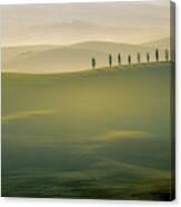 Tuscany Landscape With Cypress Trees Canvas Print