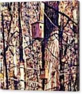 Two Birdhouses In The Autumn Woods Canvas Print