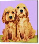 Two Cocker Spaniel Puppies Canvas Print