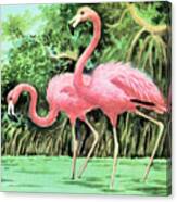 Two Flamingos Canvas Print