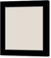Two Tone Blank And Tan For Home Decor Canvas Print