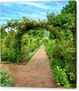 Usa, New York City, Brooklyn, Arch Of Bushes Over A Brick Path, Surrounded By Trees In Brooklyn Botanic Garden. Canvas Print