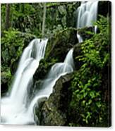 Usa, Virginia, Shenandoah Np, Upper Canvas Print