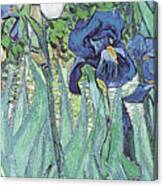 Van Gogh-iris Canvas Print