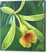 Vanilla Orchid Canvas Print
