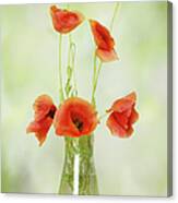 Vase With Poppy Flowers Canvas Print