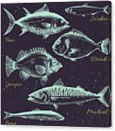 Vector Set Of Sea Fish Menu Shrimp Canvas Print