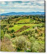 Verdant Tuscan Springtime Canvas Print
