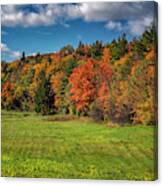 Vermont Autumn Colors Canvas Print