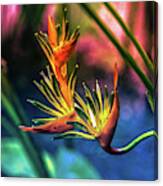 Vibrant Jungle Bird Canvas Print