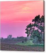 View Of Farmland Canvas Print