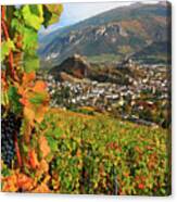 Vineyard & Villagescape, Switzerland Canvas Print