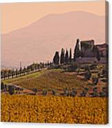 Vineyard Castle In Tuscany Canvas Print
