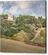 Vineyard Morning Tuscany Italy Canvas Print