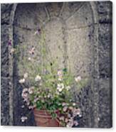 Vintage Flower Pot In Stone Alcove Canvas Print