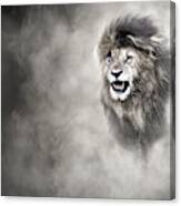 Vulnerable African Lion In The Dust Canvas Print