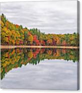 Walden Pond Fall Foliage Concord Ma Reflection Trees Canvas Print