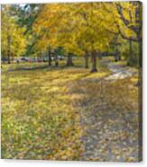 Walk In The Park @ Sharon Woods Canvas Print