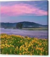 Warm River Spring Sunrise Canvas Print