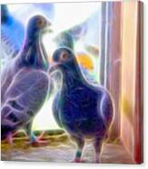 Watchful Homing Pigeons Fibers Canvas Print