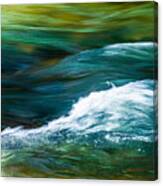 Water Painting Canvas Print