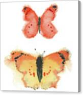 Watercolor Butterflies Iv Canvas Print