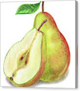 Watercolor Illustration Of Whole And Cut Pear Canvas Print