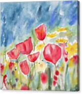 Watercolor - Poppies And Sky Canvas Print