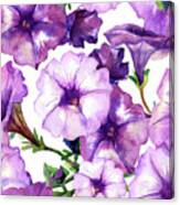Watercolor Seamless Pattern Of Petunia Canvas Print