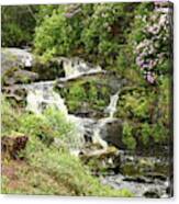 Waterfall And Gardens Canvas Print