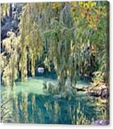 Weeping Willow Over Pond Canvas Print