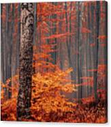 Welcome To Orange Forest Canvas Print
