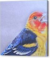 Western Tanager - Male Canvas Print