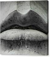 Wet Lips Canvas Print