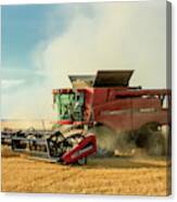 Wheat And Chaff Canvas Print