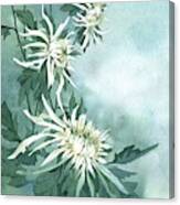 White Chrysanthemums Flowers Canvas Print