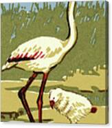 White Flamingo Canvas Print