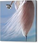 White Heron With Fish Canvas Print