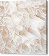 White Lace Canvas Print