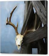 White-tail Deer 014 Canvas Print