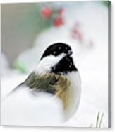 White Winter Chickadee Canvas Print