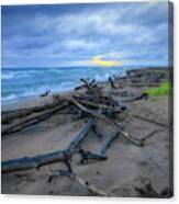 Whitefish Point In Hdr Canvas Print
