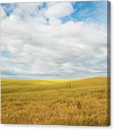 Wide Sky Rolling Wheat Canvas Print