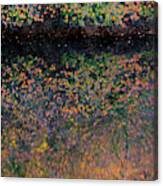 Wild Cherry Tree In The Fall, Golden Reflections On The River Canvas Print