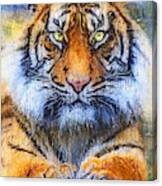 Wild Tiger - 22 Canvas Print