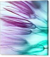 Wildflower Abstract Canvas Print