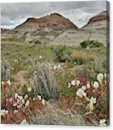 Wildflower Prairie At Ruby Mountain Canvas Print