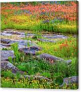 Wildflower Rock Canvas Print