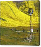 Wildflowers And Ranch Land Canvas Print
